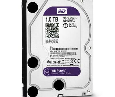 1TB AV SATA 6 Gbs 3.5  Purple Cheap