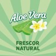 Asevi Detergente Líquido para Lavadora Aloe Vera - Fórmula Concentrada para Ropa Blanca y de Color - Frescura Natural - 1 Unidad, 44 Lavados Embalaje Deteriorado (Cad: 03 08 2029) Discount